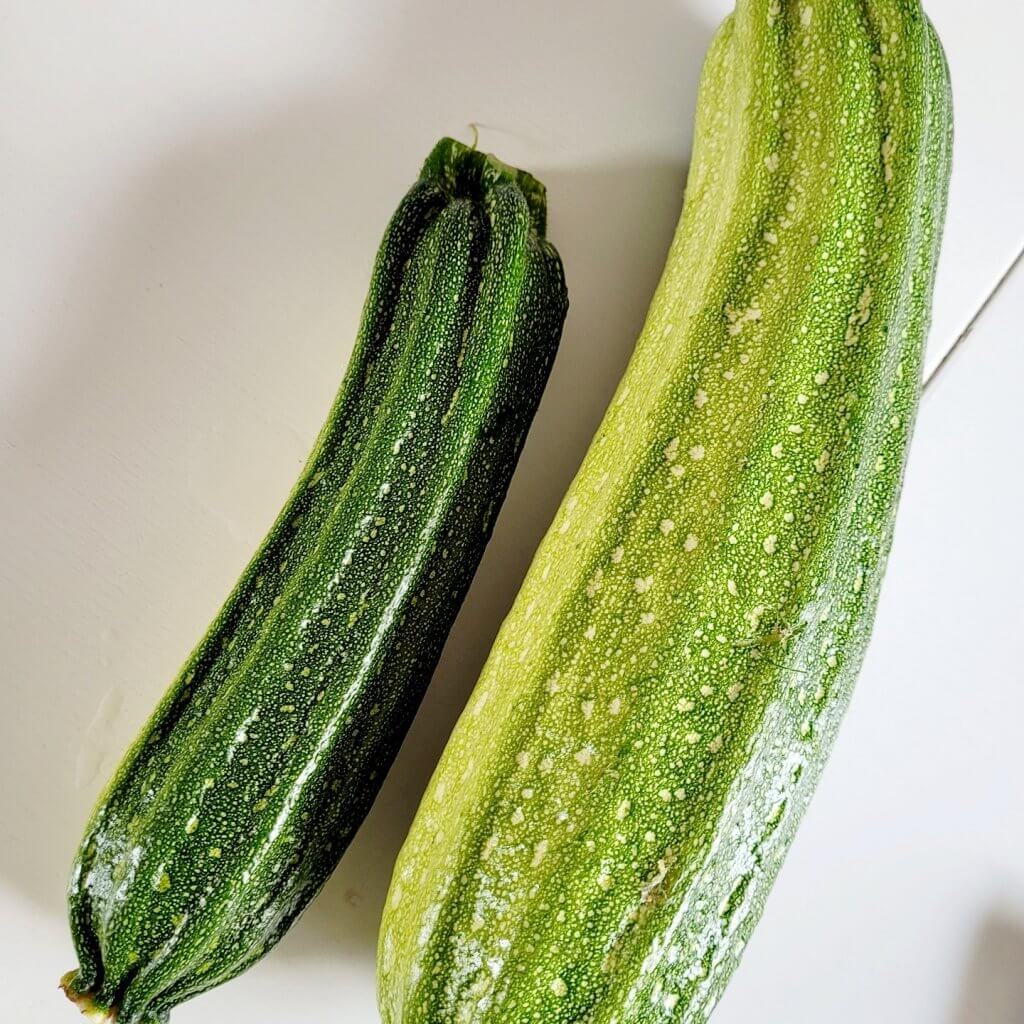 Stor och liten zucchini